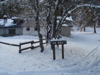 neve abbondante a bassa quota
