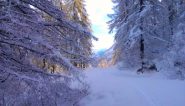 salendo, appena sotto il pian Laris