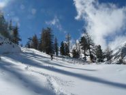 le nostre tracce su farina intatta!