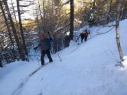 Salendo nel boschetto trallalà