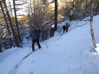 Salendo nel boschetto trallalà