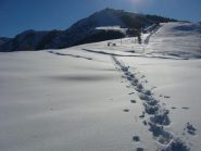 tracce fresche