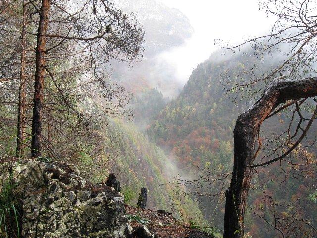 segni dell'incendio del 2011