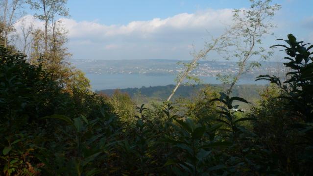vista sul lago di Viverone