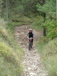 Poco prima della deviazione per il sentiero 