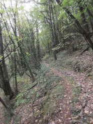 il traverso del tubo nero