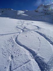 polvere  