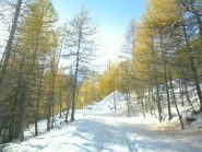 Autunno...