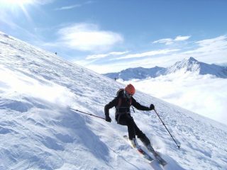 Ava grintoso aggredisce la neve