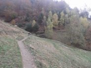 single track Dairin - Colle Ciardonet