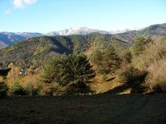 presso San Bernardo d'Armo