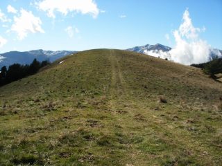 Poggio Allodola