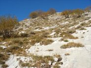 il ripido verso la Rocca Pizzo