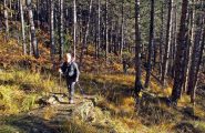 Nella parte bassa del bosco