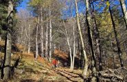 In discesa verso Viù