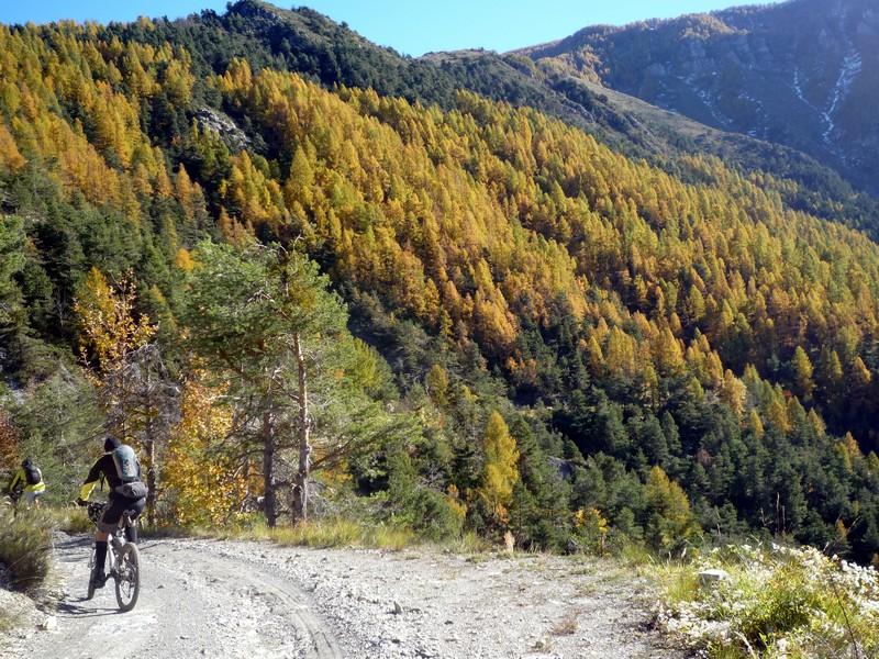 incantevoli colori autunnali