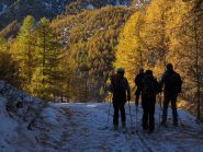 luci d'autunno
