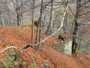 vecchi basamenti dei cavalletti teleferica