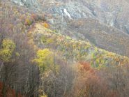 linea da tenere per arrivare al sentiero sopra l'alpe