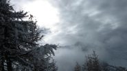 Neve pesante sui larici....