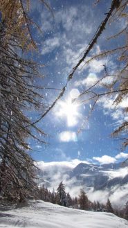 ...ambiente Natalizio...  ;)