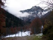 Osservatorio Faunistico