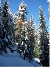 Cosi'..dopo l'ultima recente nevicata