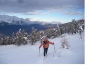 Ormai fuori dal bosco..