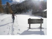 All'Alpe Arguel..