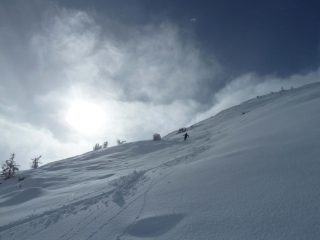 Si pennella