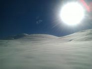 sole