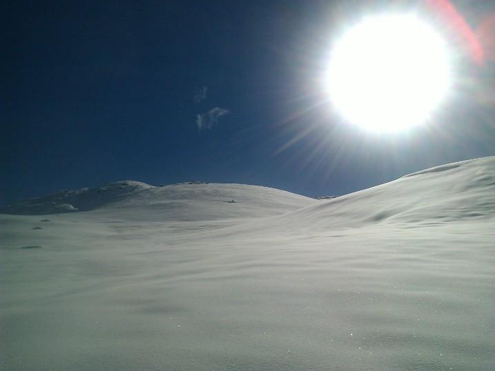 sole