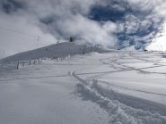 si scopre verso la cima