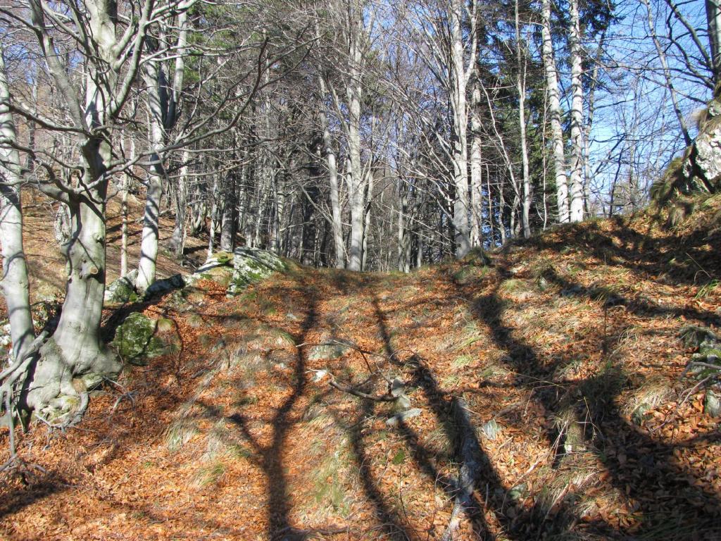 La Bocchetta di Tirolo