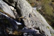 Ponte semidistrutto sul rio Chiapetto