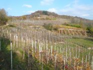  salendo la collina per la chiesa degli Angeli