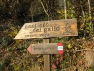 indicazioni alla partenza a Catarello