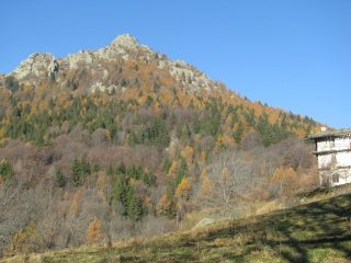 Il bel bosco a Nivolastro