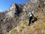 nell'esposto traverso x Puntagliera