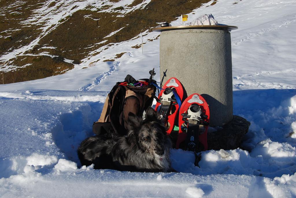 Frank alla tavoletta orientativa