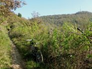 sacrosanti davvero e poco angusti