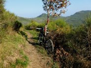 il divertimento continua 