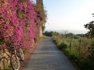 ... che diventa a tratti asfaltata... purtroppo