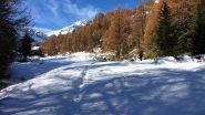 il grande pianoro innevato a quota 2100 m. (17-11-2012)