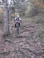 tratto di sentiero nella parte alta della discesa  