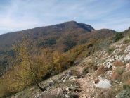 Sul traverso verso Colla Bassa