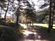 belle radure lungo la salita