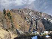 Scultura naturale