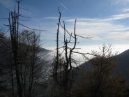 Mare di nebbia sulla pianura