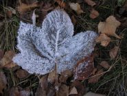 ormai è inverno nel freddo vallone di Guaria